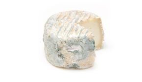 Picture for category Bioprotection